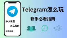 Telegram怎么玩？电报新手必看使用指南